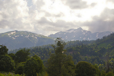 Similar image 1343969