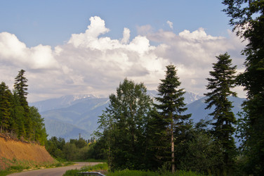 Similar image 1343972