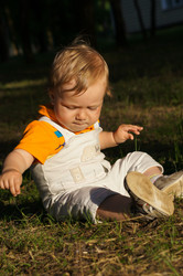 Similar image 1343980