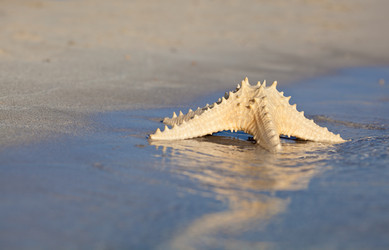 Similar image 1344006