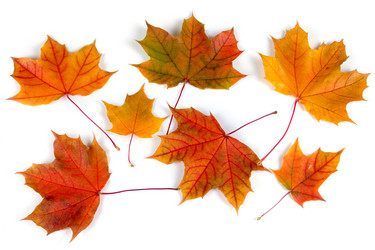 Similar image 1344126