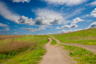 Similar image 1344175