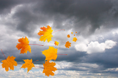 Similar image 1344193