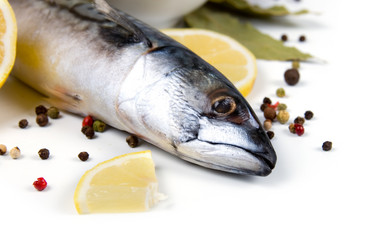 Similar image 1344317