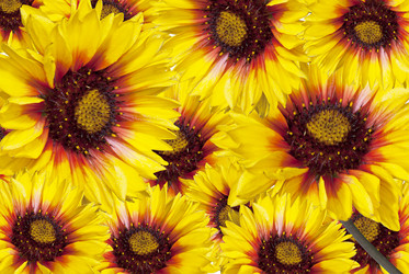 Similar image 1344326