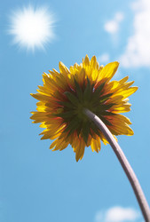 Similar image 1344334