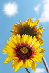 Similar image 1344355