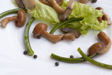 Similar image 1344371