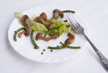 Similar image 1344372