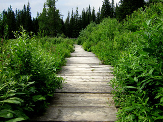 Similar image 1344554