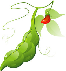 Similar image 1344621