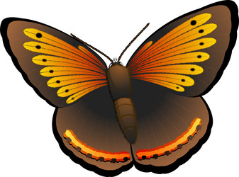 Similar image 1344685