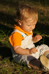 Similar image 1344715