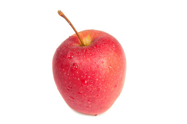 Similar image 1344972