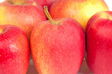 Similar image 1345001