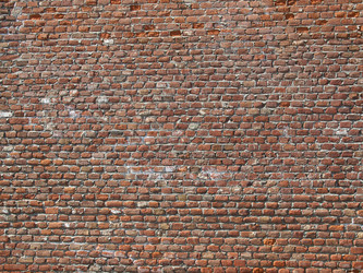 Similar image 1345275