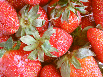 Similar image 1345351