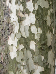 Similar image 1345366