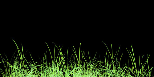 Similar image 1345396