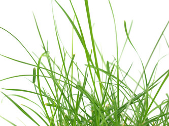 Similar image 1345452