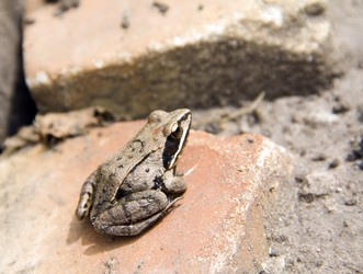 Similar image 1345824