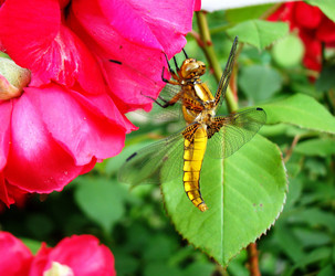 Similar image 1345975