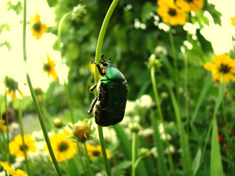 Similar image 1346002