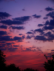 Similar image 1346003