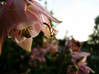 Similar image 1346061