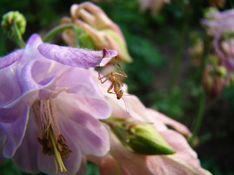 Similar image 1346063