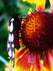 Similar image 1346080