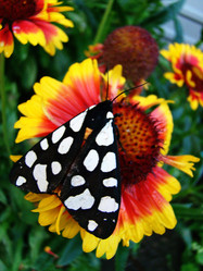 Similar image 1346081