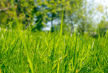 Similar image 1346156