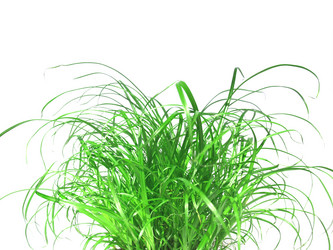 Similar image 1346228