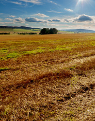 Similar image 1346269