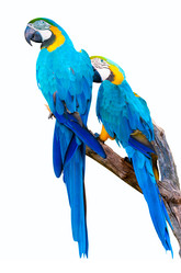 Similar image 1346324