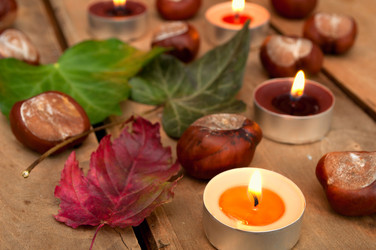 Similar image 1346359