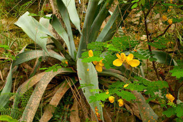 Similar image 1346445