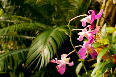 Similar image 1346452