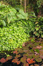 Similar image 1346457