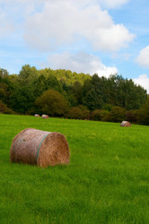 Similar image 1346459