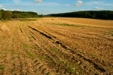 Similar image 1346475