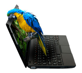 Similar image 1346479