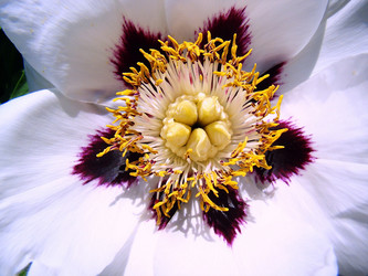 Similar image 1346522