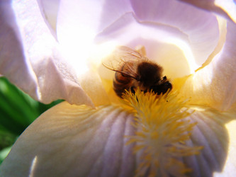 Similar image 1346523