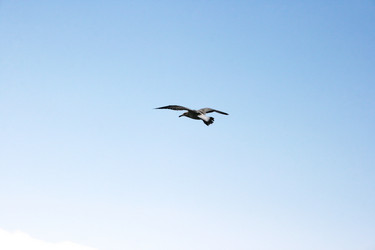 Similar image 1346524