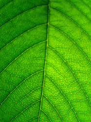 Similar image 1346572