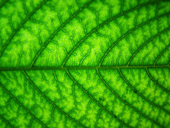 Similar image 1346574