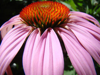 Similar image 1346575