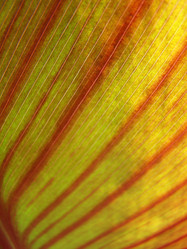 Similar image 1346577